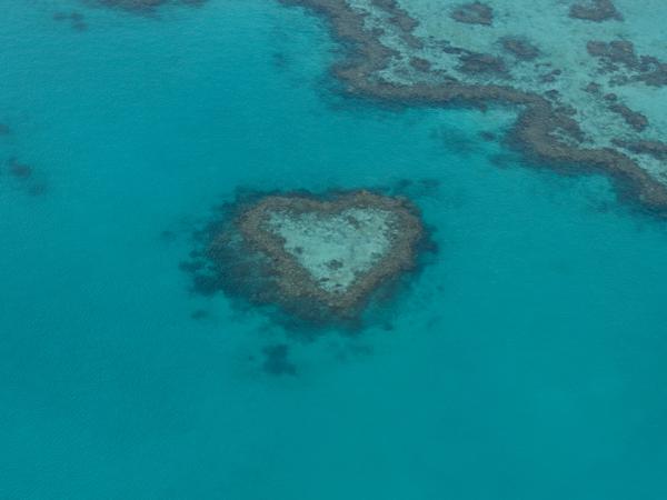 Queensland, Great Barrier Reef, Hamilton Island